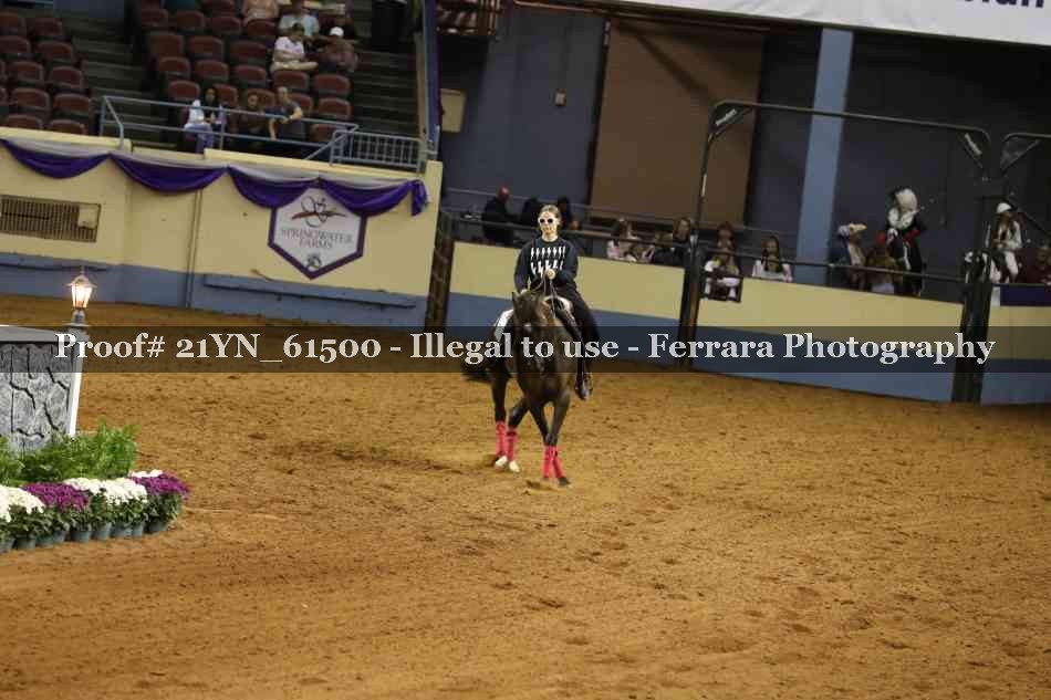 Proof 21YN_61500