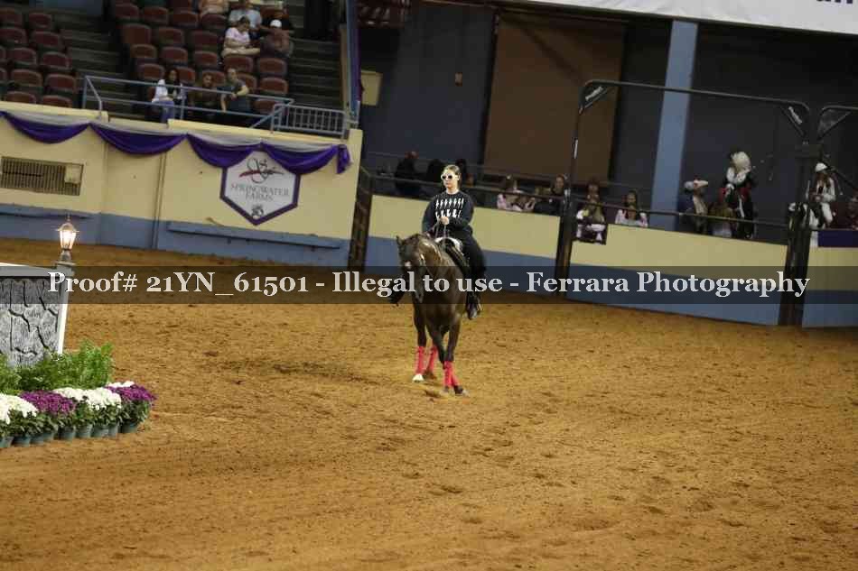 Proof 21YN_61501