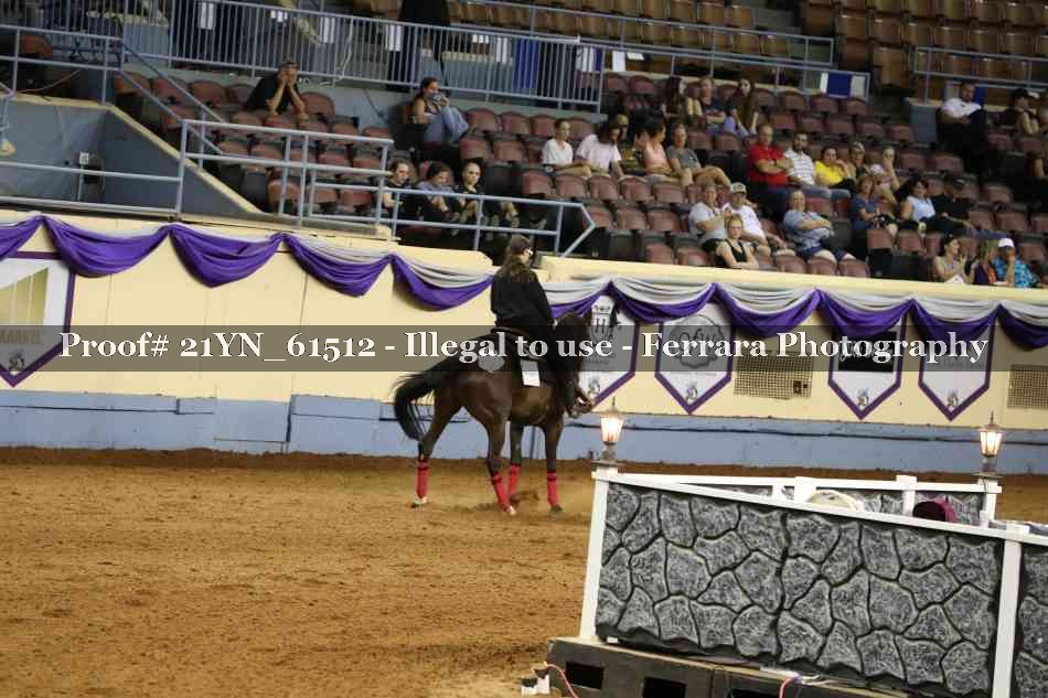 Proof 21YN_61512