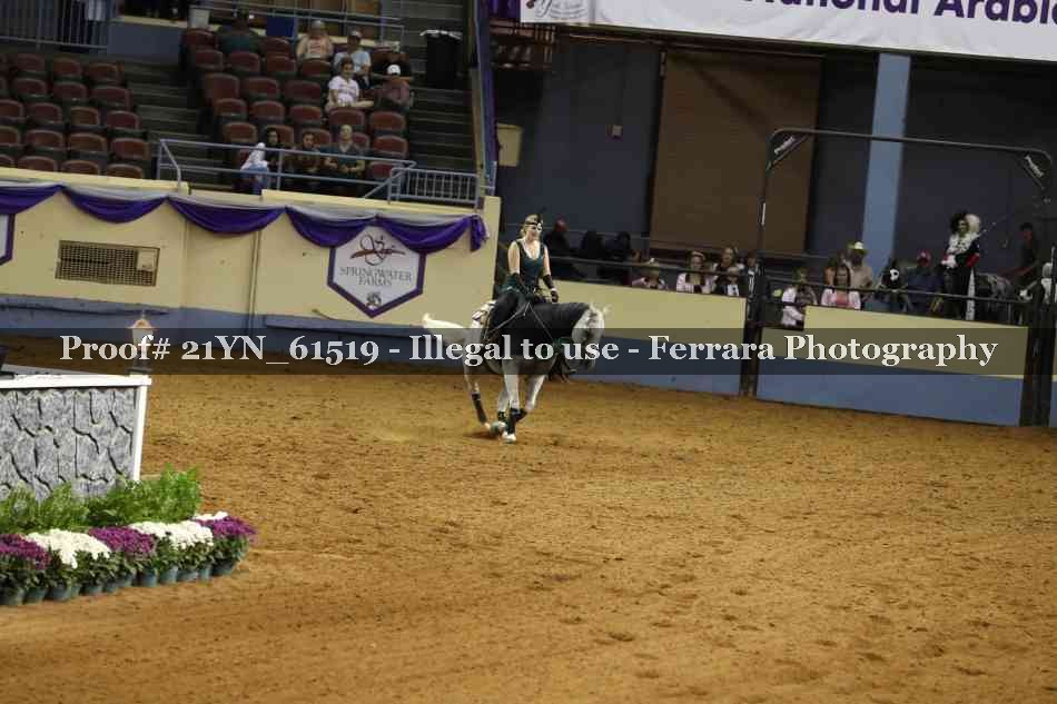 Proof 21YN_61519