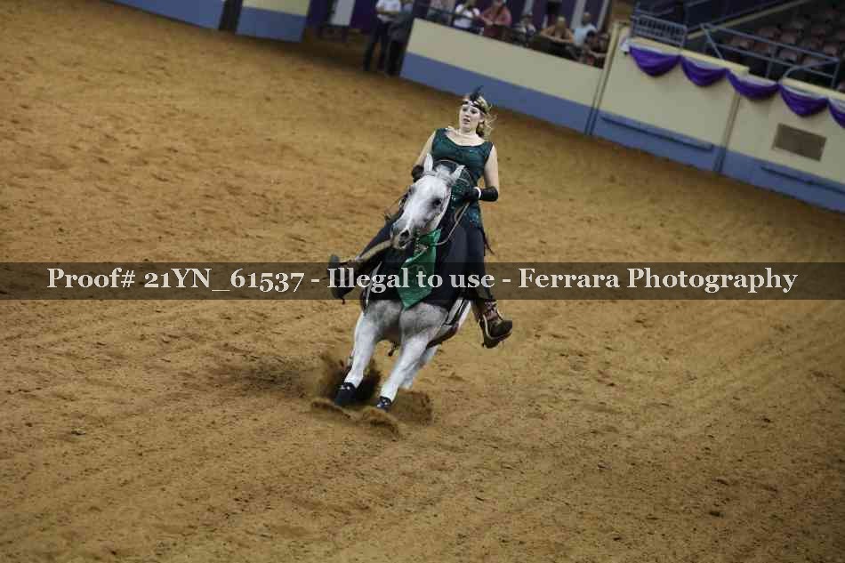 Proof 21YN_61537