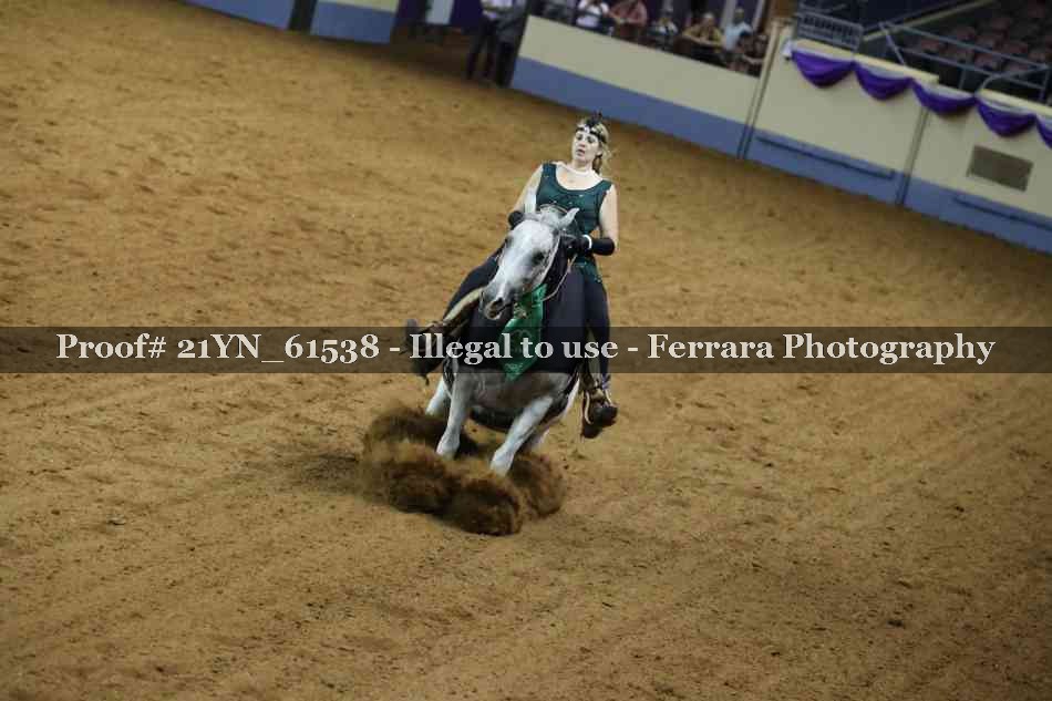 Proof 21YN_61538