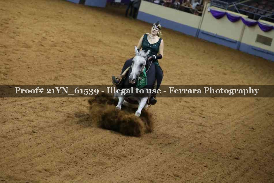 Proof 21YN_61539