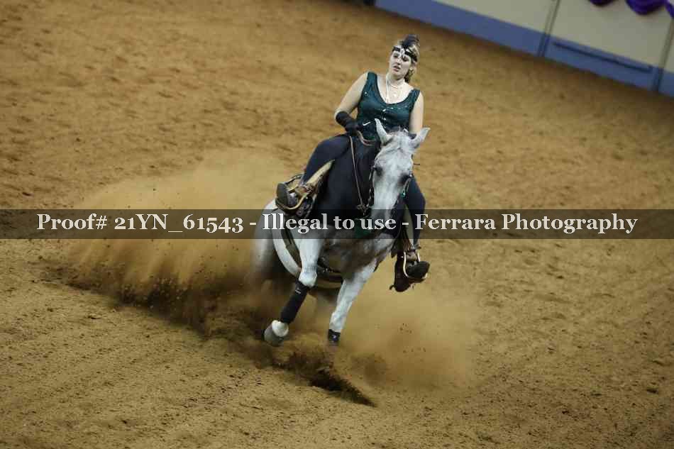 Proof 21YN_61543