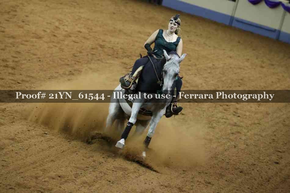 Proof 21YN_61544