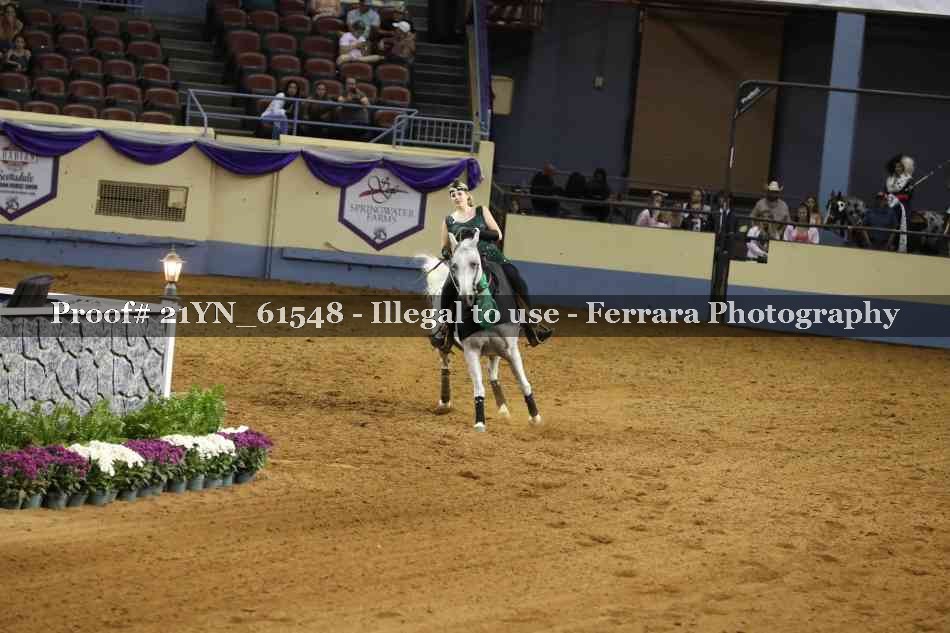 Proof 21YN_61548
