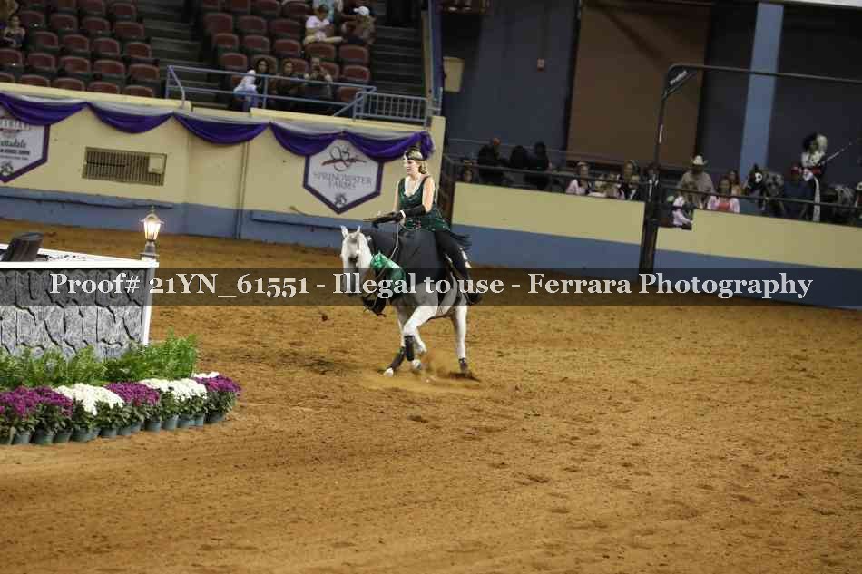 Proof 21YN_61551