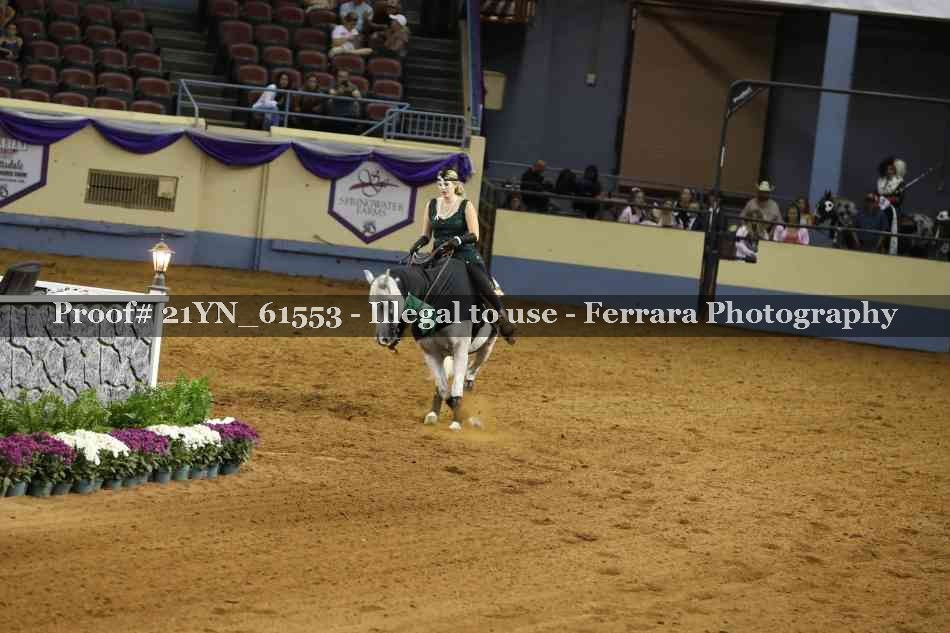 Proof 21YN_61553