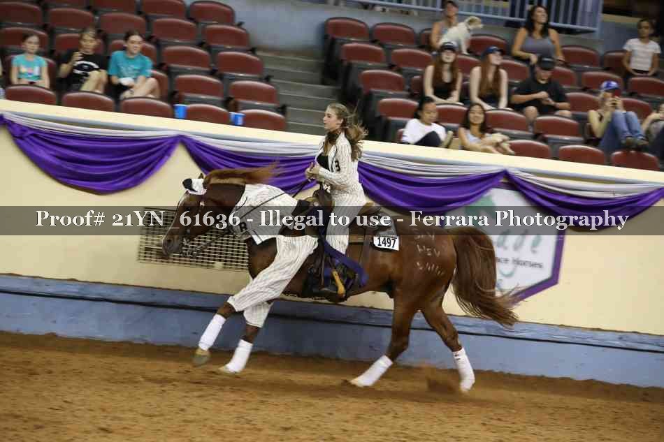Proof 21YN_61636