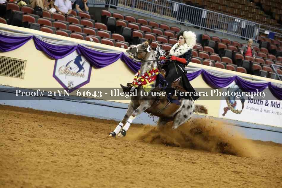 Proof 21YN_61643