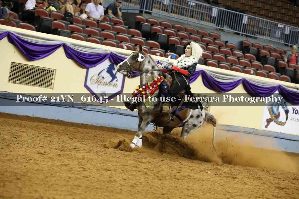 Proof 21YN_61645
