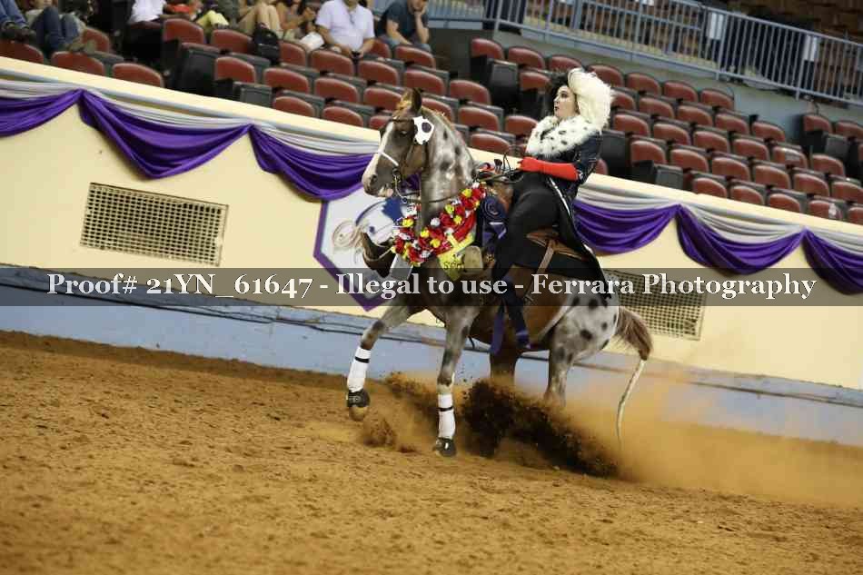 Proof 21YN_61647