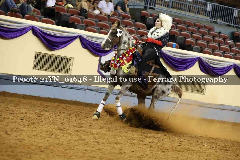 Proof 21YN_61648