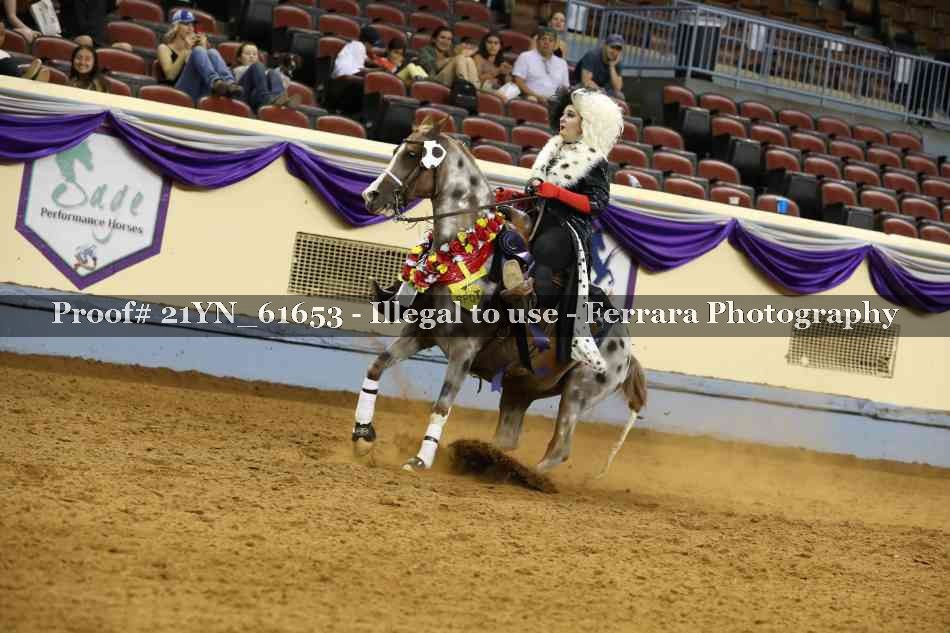 Proof 21YN_61653