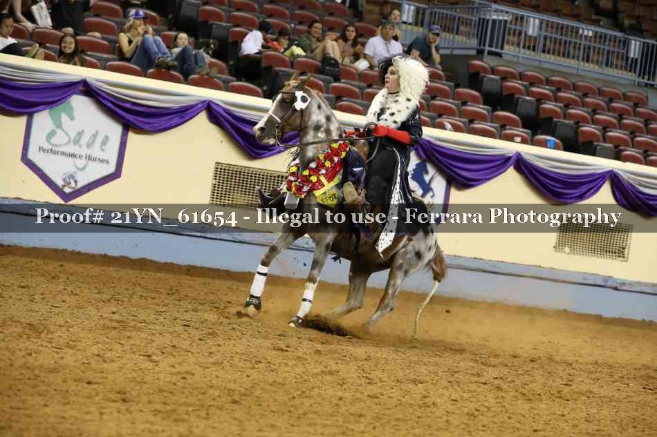 Proof 21YN_61654