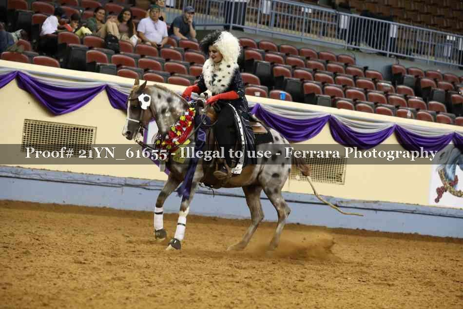 Proof 21YN_61655