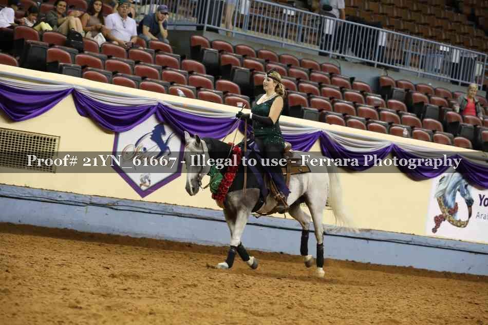 Proof 21YN_61667