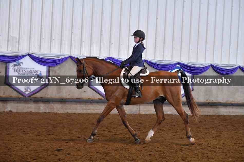 Proof 21YN_67206