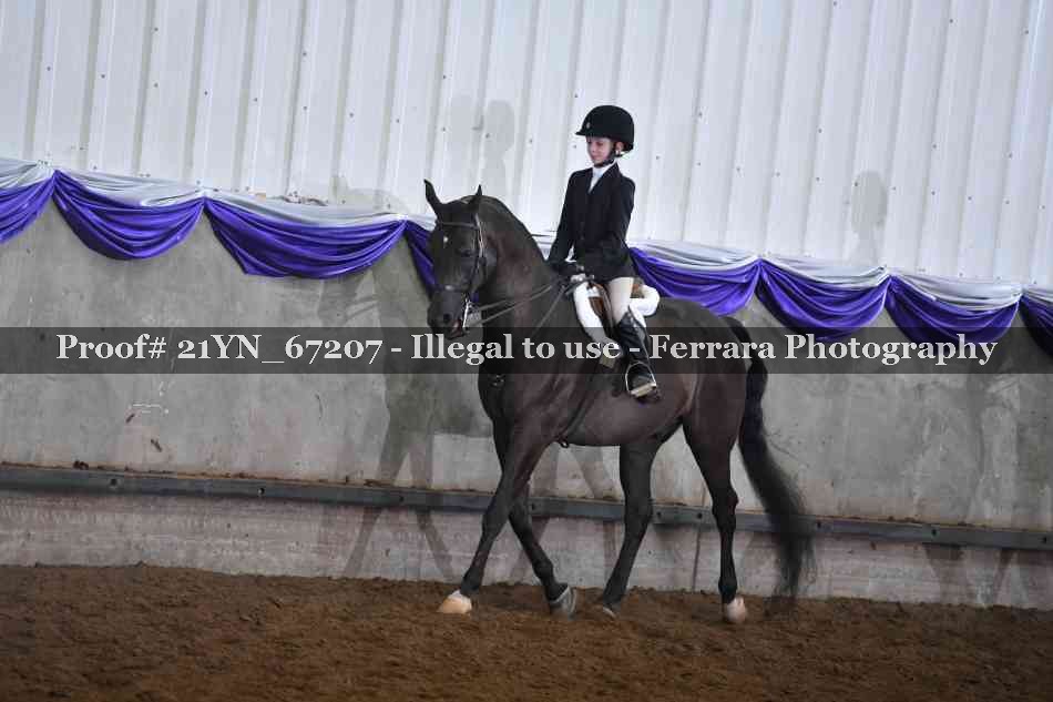Proof 21YN_67207