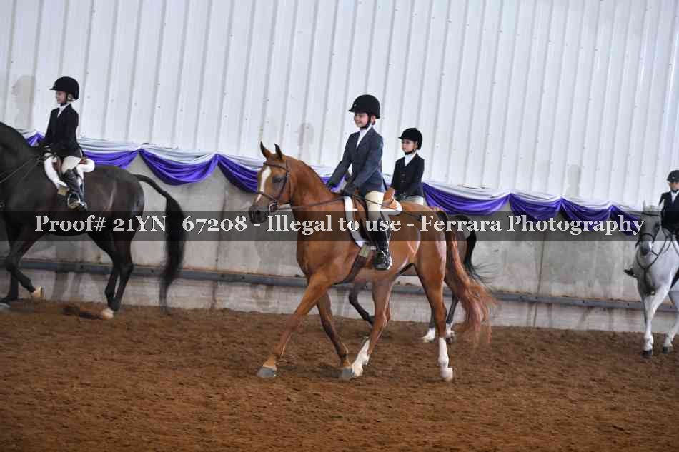 Proof 21YN_67208