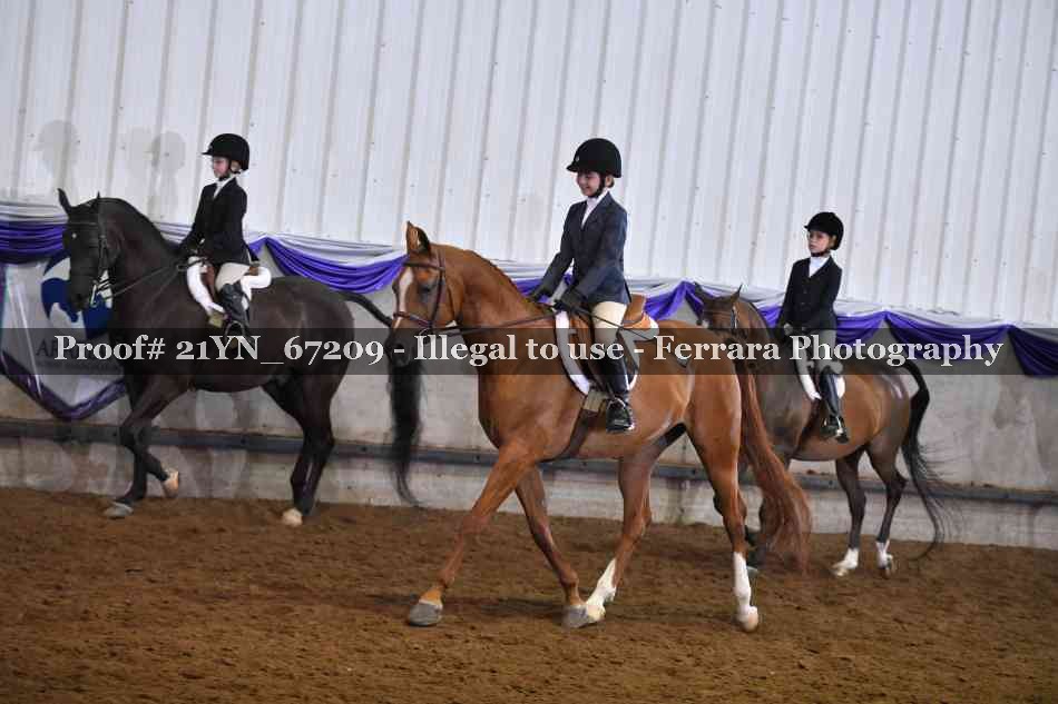 Proof 21YN_67209