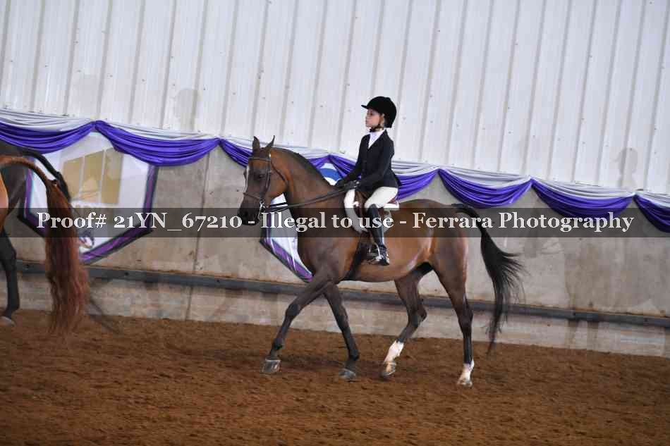 Proof 21YN_67210