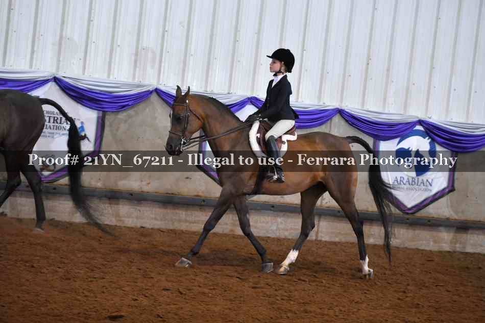 Proof 21YN_67211