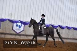 21YN_67216 proof