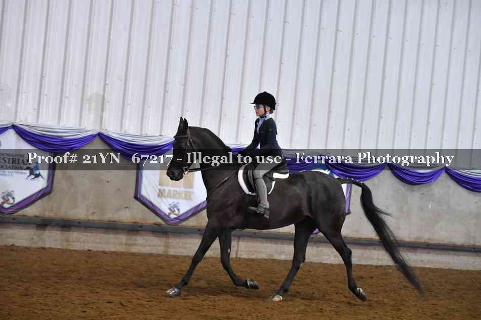 Proof 21YN_67217
