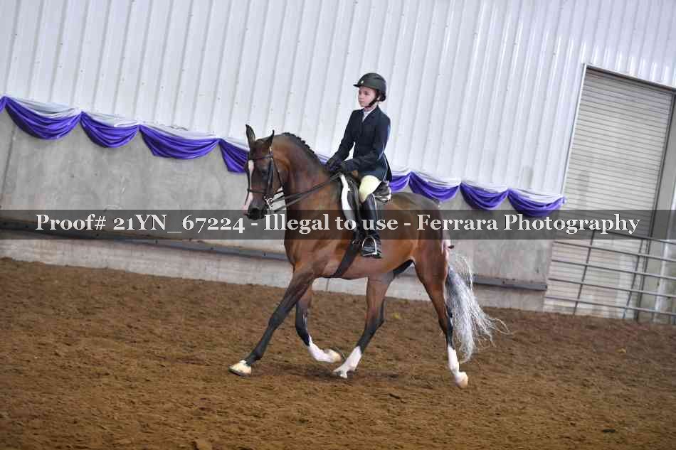 Proof 21YN_67224