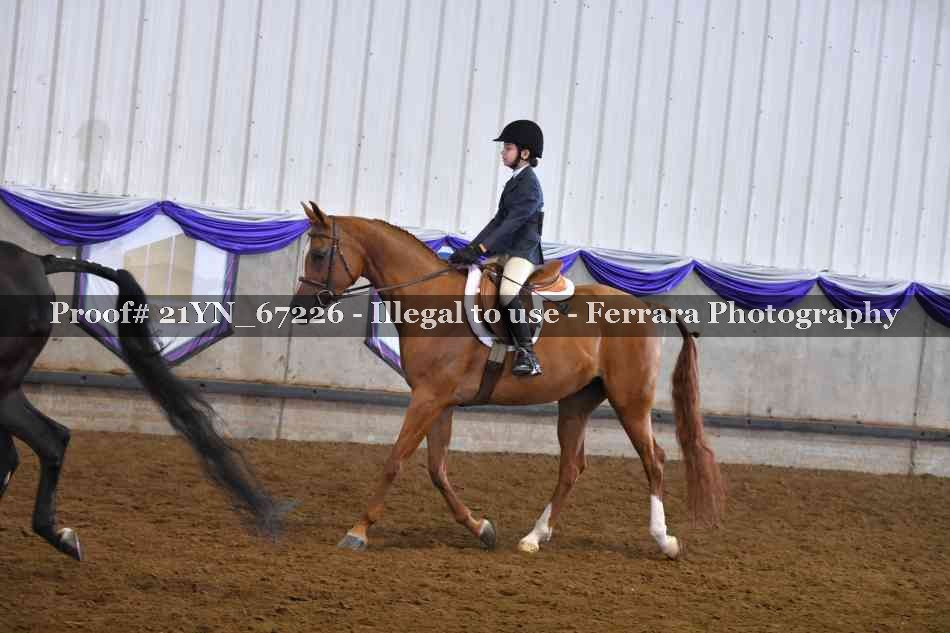 Proof 21YN_67226