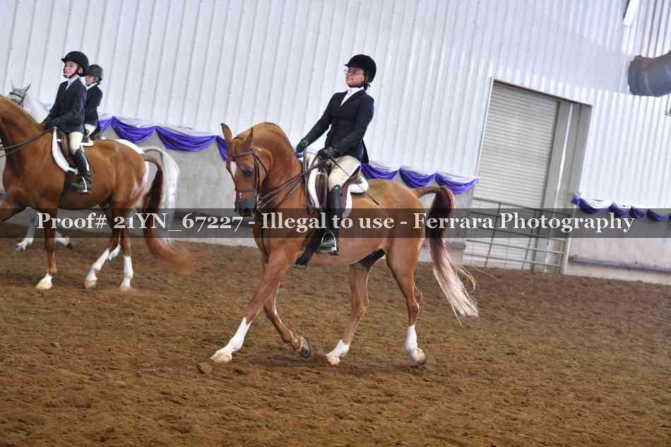 Proof 21YN_67227