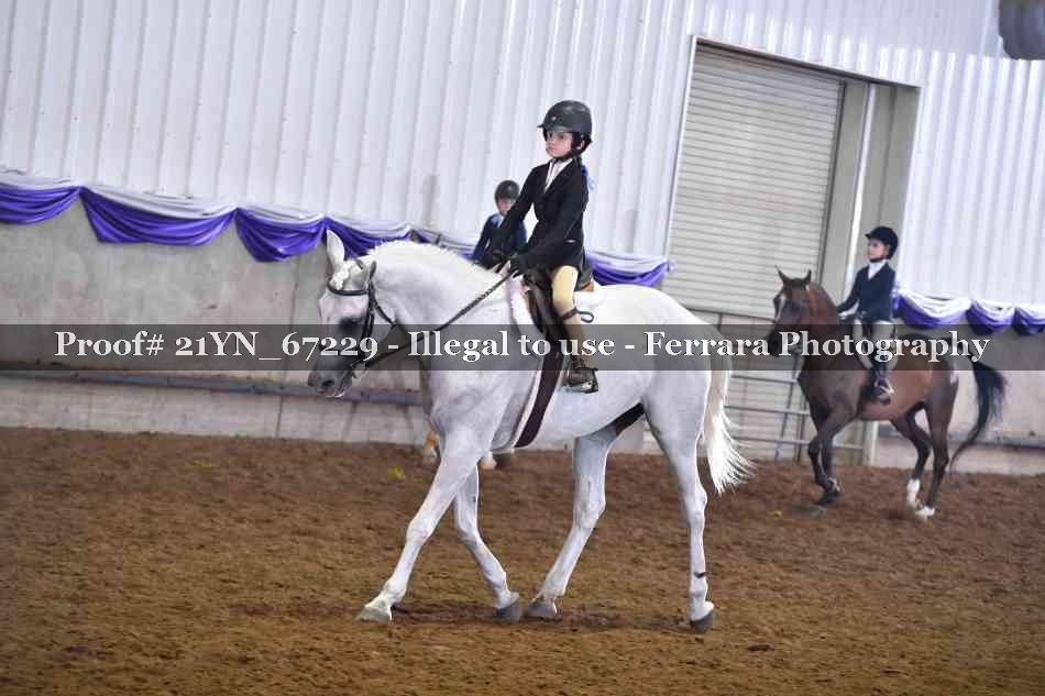 Proof 21YN_67229