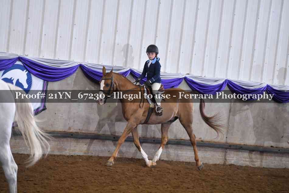 Proof 21YN_67230