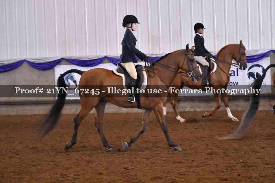 Proof 21YN_67245