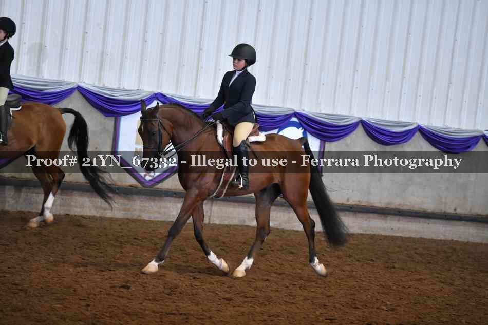 Proof 21YN_67332