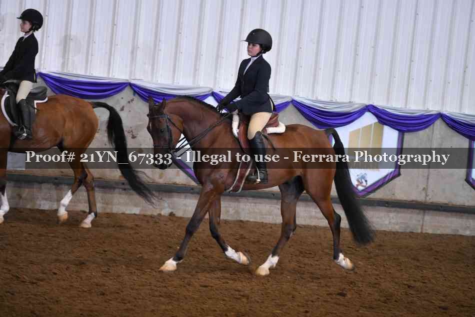 Proof 21YN_67333