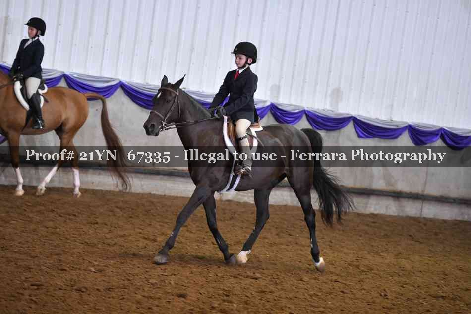 Proof 21YN_67335