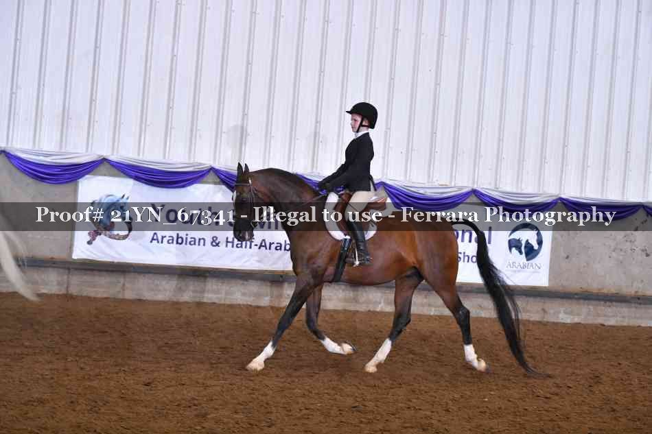 Proof 21YN_67341
