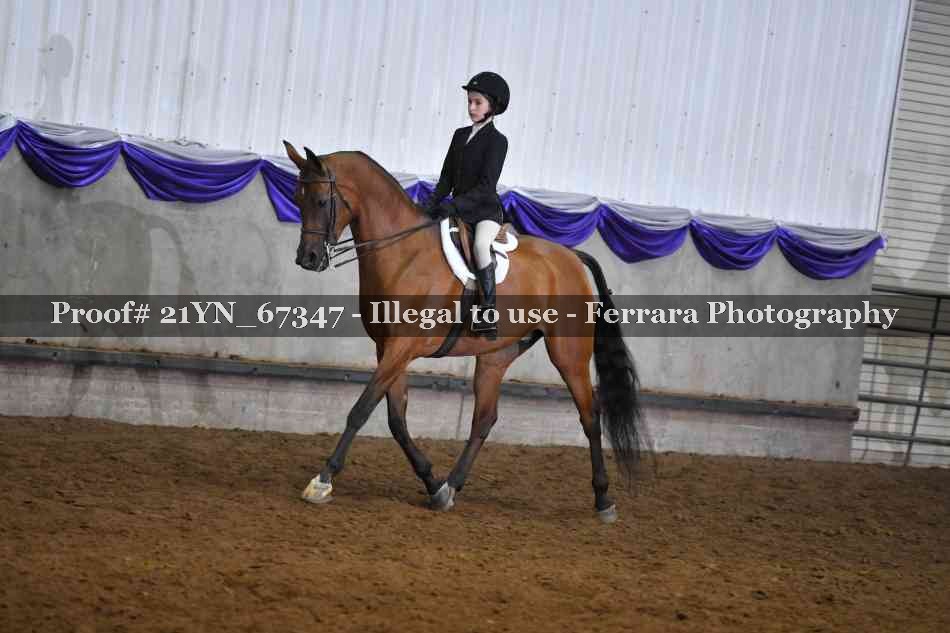 Proof 21YN_67347