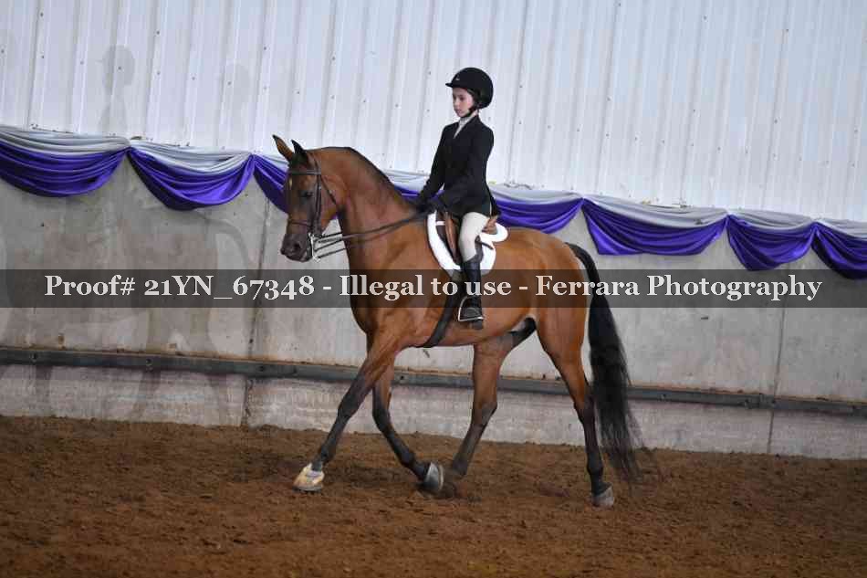 Proof 21YN_67348