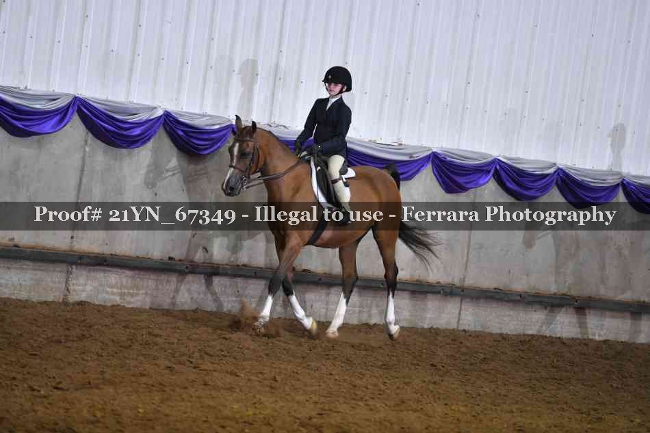 Proof 21YN_67349