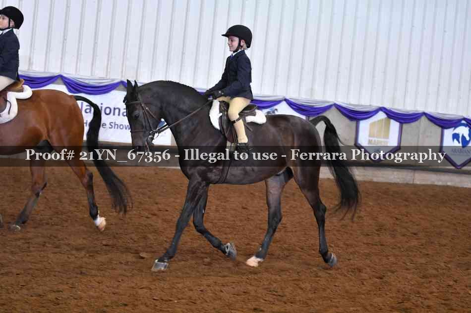 Proof 21YN_67356