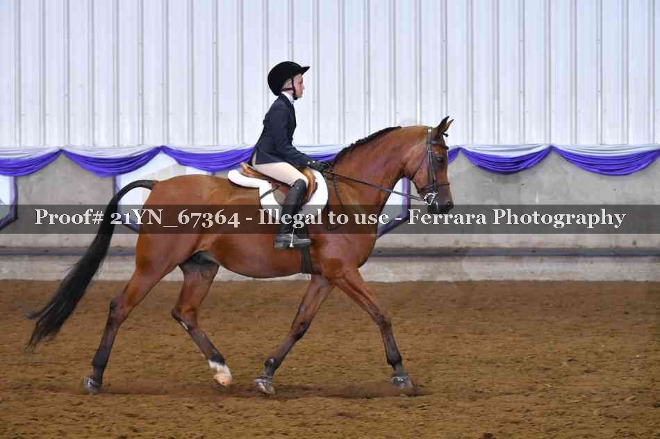 Proof 21YN_67364