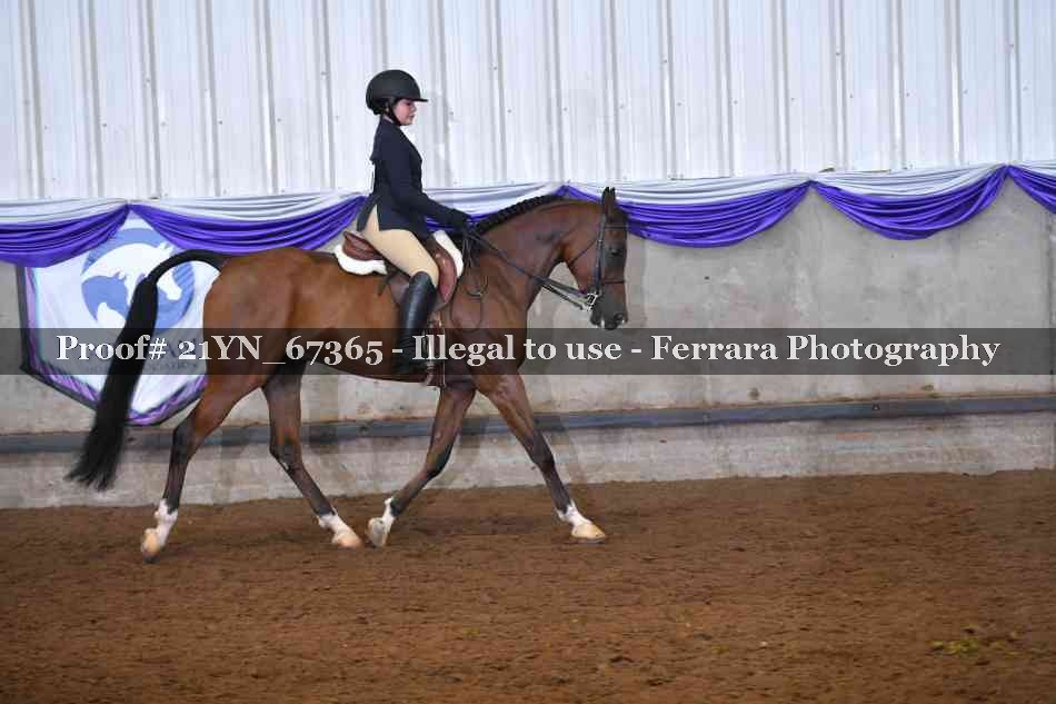 Proof 21YN_67365