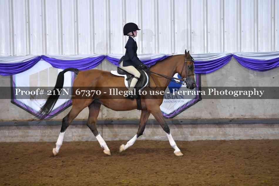 Proof 21YN_67370