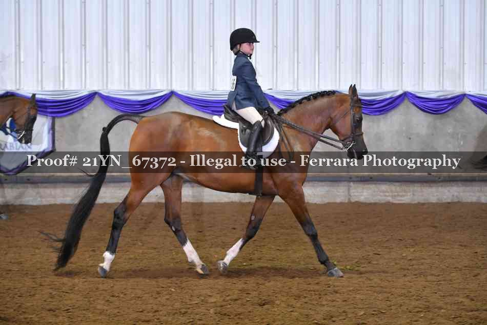 Proof 21YN_67372