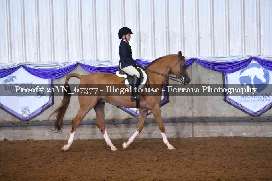 Proof 21YN_67377