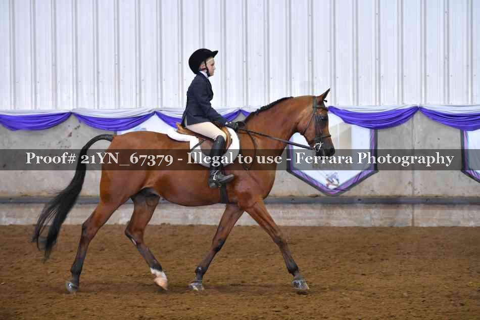 Proof 21YN_67379