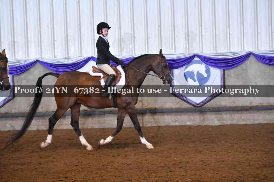 Proof 21YN_67382